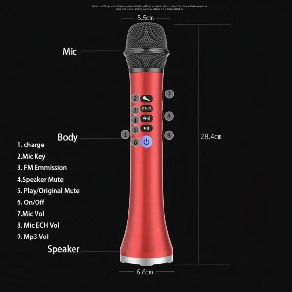 L-698 portable karaoke microphone karaoke wireless microphone with USB charging