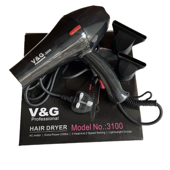 V&G 3100 Professional Hair Dryer